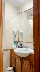 The Oxley (D9), Apartment #482791991